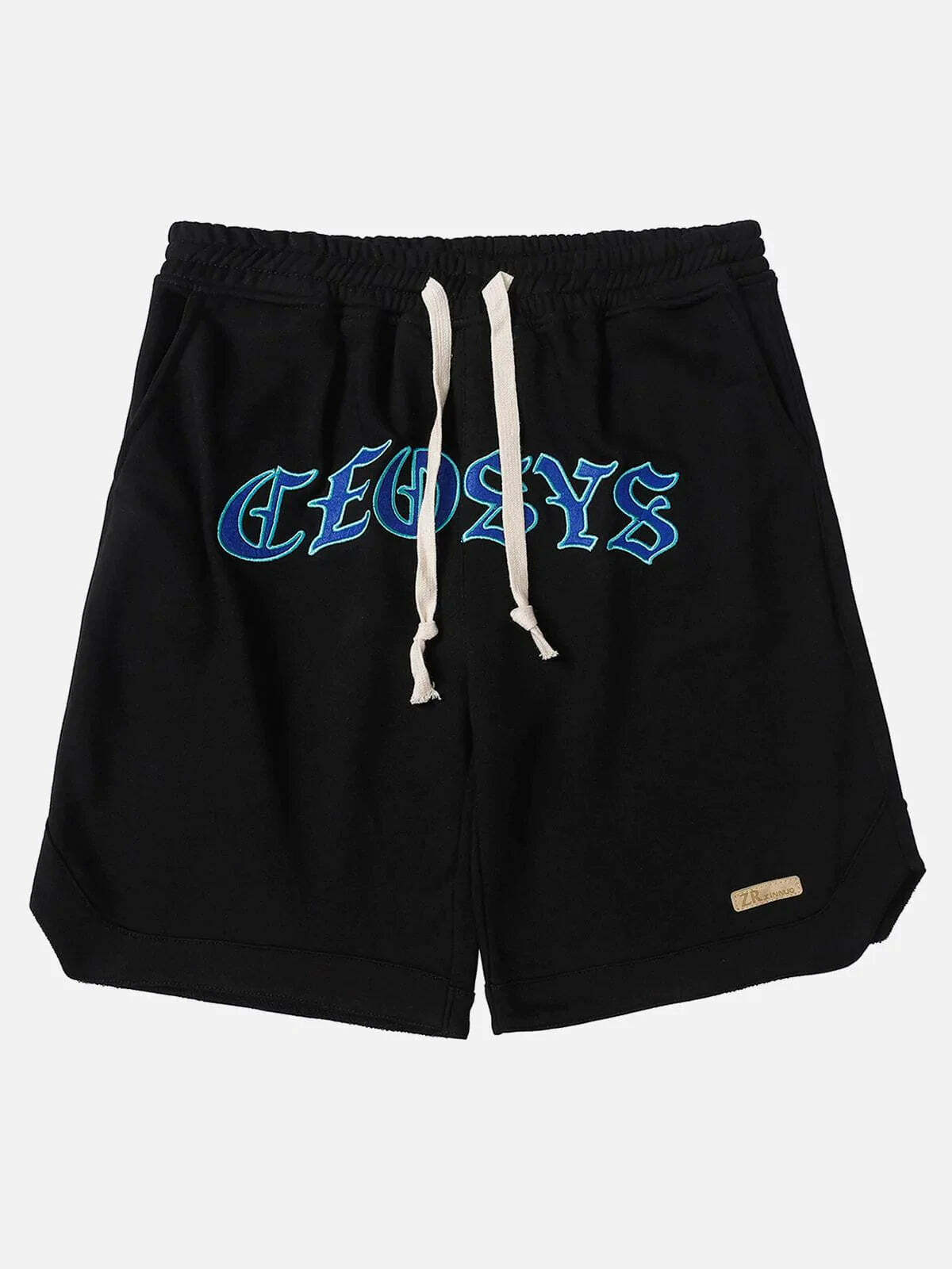 embroidered logo shorts edgy streetwear essential 3100